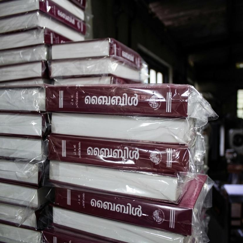 Stack of maroon hardbound books with gold text in studio setting